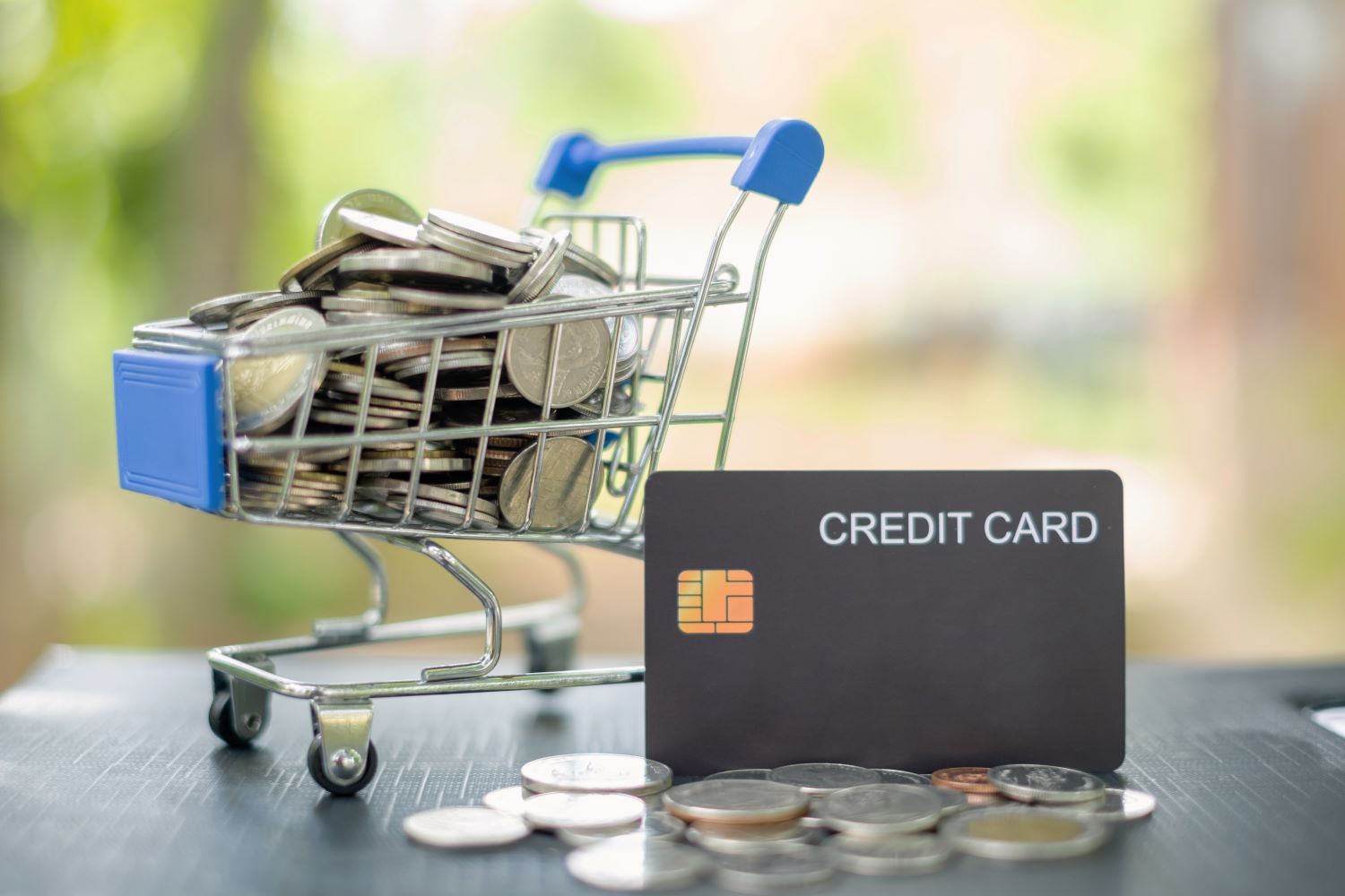 Credit Card